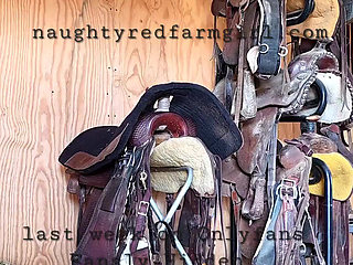 Redhead Fucks Herself Like Crazy All Over the Farm