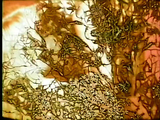 "Our origin xxx... - Vol. 14