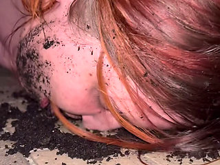 Mud, Licking Shoe, Toilet Washing