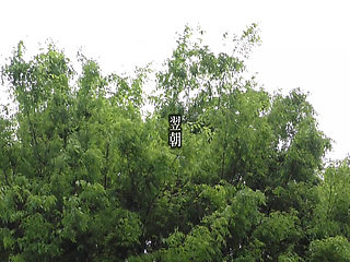 A082G04 The wife next door who passed by made a mistake in the room...! with too much momentum! Morning SEX the next morning!