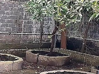 Garden Girlfriend with Boyfriend Blowjob and Fucking Without Condom