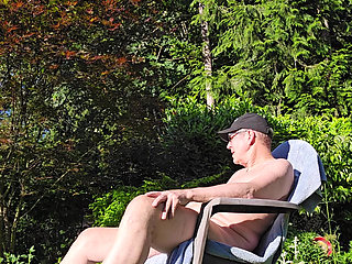 More Sun In The Backyard