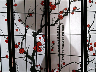 Silhouette Tease / Ball Domination