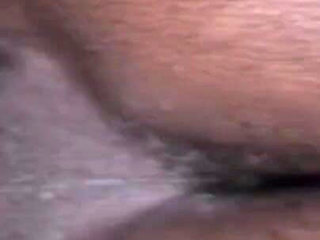 I M Still Your Little King Cobra Slut