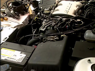 Yvonne Paradise: the Mechanic Makes Me Feel It All Inside