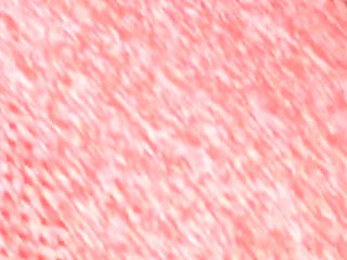 Melove Showing her Hairy Armpits and her...