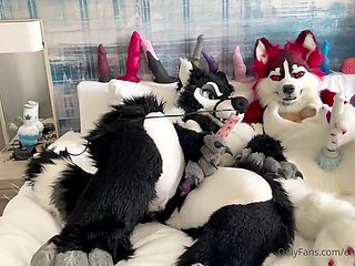 Had so much joy frolicking with @yeenpupbean at AC. She had me .. by emmawerewuff from OnlyFans - Coomer