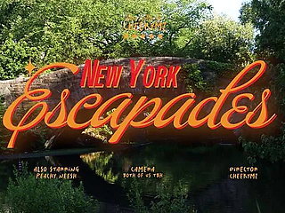 SEXY NEW YORK VLOG ft. Peachyneesh