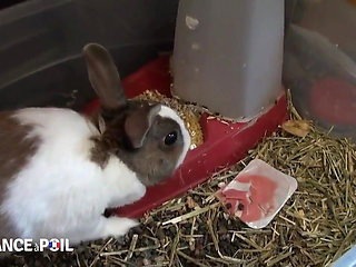 Ebony MILF Fucks Voyeur From the Park