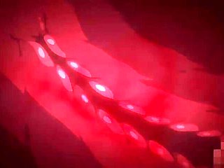 Silent Body of Fantasy_21052803p0