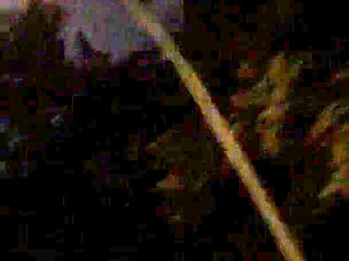 MILF Sucks My Cock in the Car