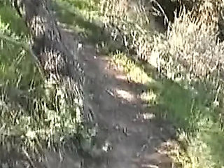 Hardcore Anal Fuck with French Babe Gets Huge Facial Cumshot