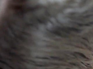 3 Horny Sluts Suck Their Boss's Cock