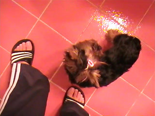 Just a regular night for a czech couple