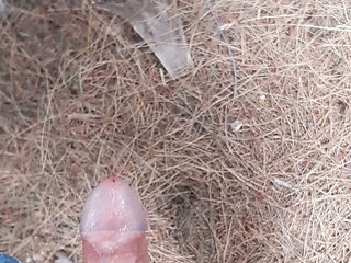 Pee in the park with my whole cock
