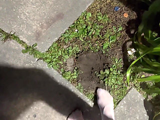 Dirty Stepsis Big Mess