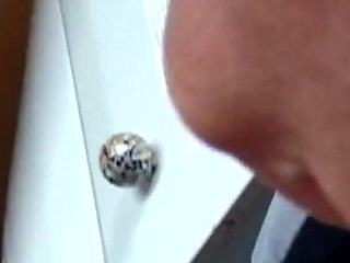 Student Wants More Than Just Tutoring... She's Fucking Wild