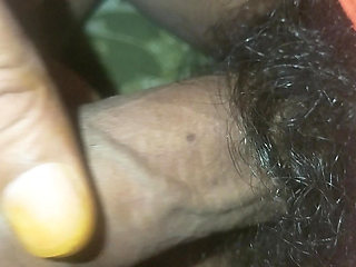 Cock Fun 1