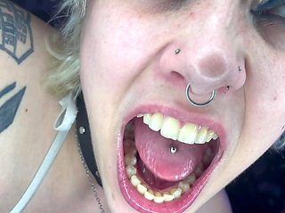 Mouth Tour