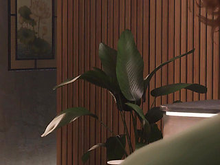 Ep2: Quickie Massage - Returning to Lotus Spa for a Different Masseuse