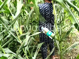 Motor Te Bola Sex Keta Punjabi Thinks Dave