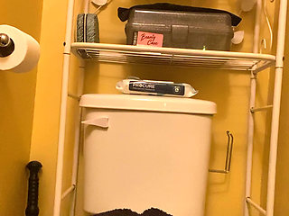 Twerking, Peeing, Masturbation