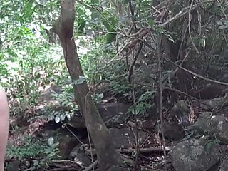 Private Na Floresta 1