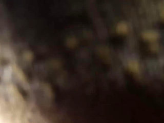 POV Interracial Blowjob with a Big White Cock and a Sweet Ebony Mouth That Receive a Huge Load in Mouth