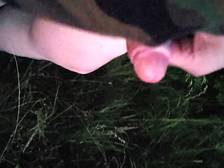 Nice Wank in the Park