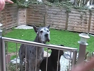 Dirty blonde German MILF gets assfucked before a facial