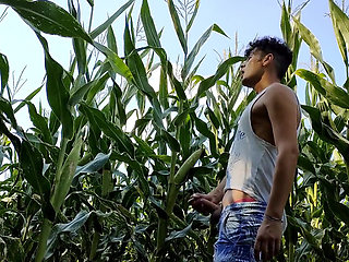 Summer Jerk off in Corn Field - Twitching Cumming Cock