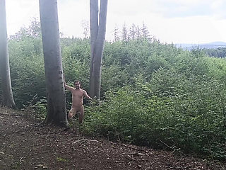 Between the Beeches: Rough Exhibition on Bare Wood