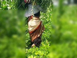 Desi Bhabhi Outdoor Fuck with Devar in Jungle - Sukunmi & Dewaif Public Sex