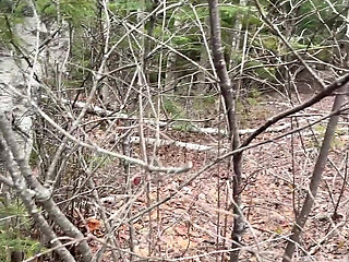 Pee Sexy on the Forest so Cool