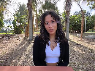 The couple fucked in doggy style and missionary, with an amazing finish.