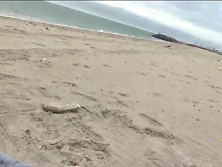 Brandi Bae Gives Stranger Random Handjob on Public Beach