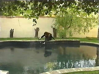 Electric Blue Special: Boobmania 2