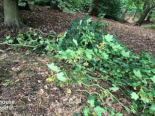 Risky Piss, Dildo, Facial, Deep-throat in the Woods