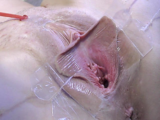 3 Licking Pussy Spread Far From Very Close