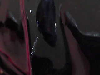 Tiffany Fox Boot Domination Femdom