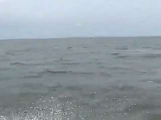 A Journey Through the Sea