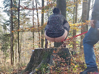 Desperate to Pee, She Has to Pee with Leashed Butt Outdoor