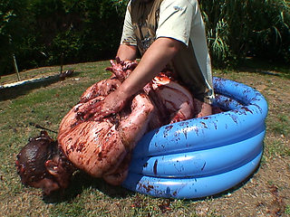 Bound & Fucked In Plum Jam Pt3 - MaryBitch