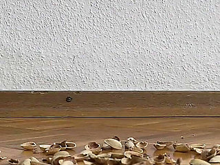 130kg Woman Walking on Pistachio Shells - Crunching Sounds