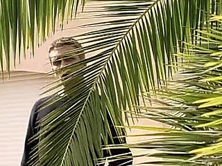 2 Cock to Suck and Take Under the Sun