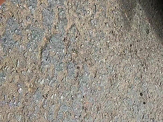 Double Bigger Pair Size 11s