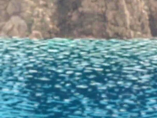Complete Gameplay - Seaside Mystery, Part 29