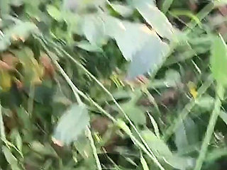 Once Again the Brother-in-law Fucked the New Sister-in-law in the Mustard Field.outdoor Sex
