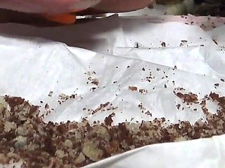 Extreme Humiliation Meal POV! Only for Real Gourmets!
