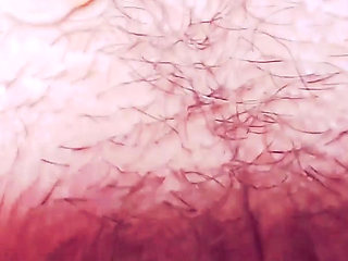 Macro Perspective: Extreme Close-up with Micro Camera